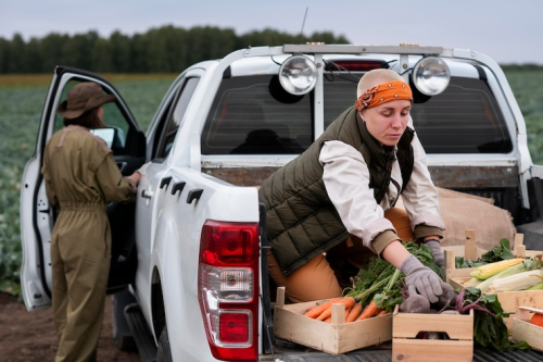 Chevrolet Trucks: Perfect for Work and Weekend Fun