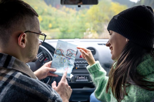 Regional Trends & Vehicle Availability: What to Know